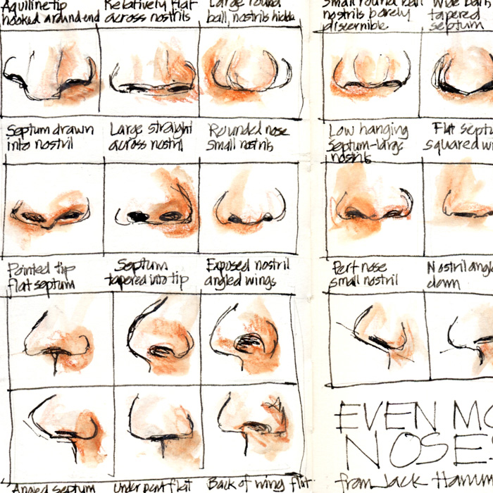 Everyday In May 06 Even More Noses Liz Steel Liz Steel