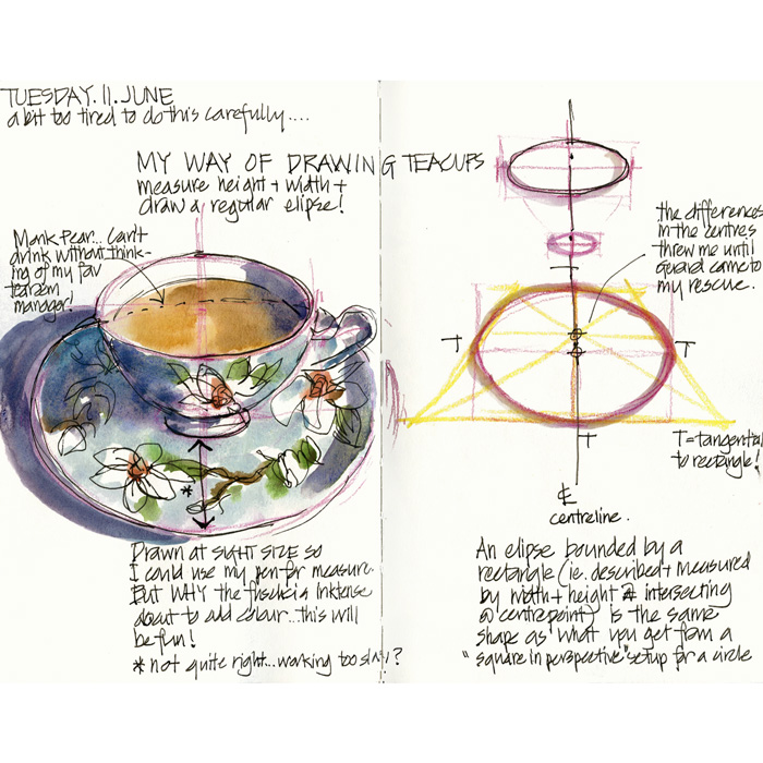 How To Draw Teacups (And Other Ellipses) - Liz Steel : Liz Steel