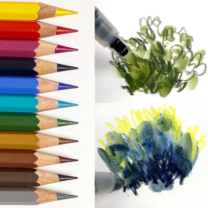 Using Watercolour Pencils: Recommended Selections, Examples ...