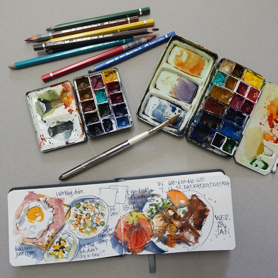My basic 12 colour palette (used in my Watercolour course) - Liz Steel :  Liz Steel