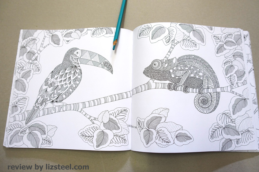 Adult Coloring Books 1 An Initial Review Liz Steel Liz Steel