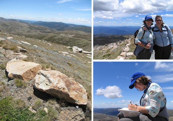 Lizsteel-Mt-Kosi-photos