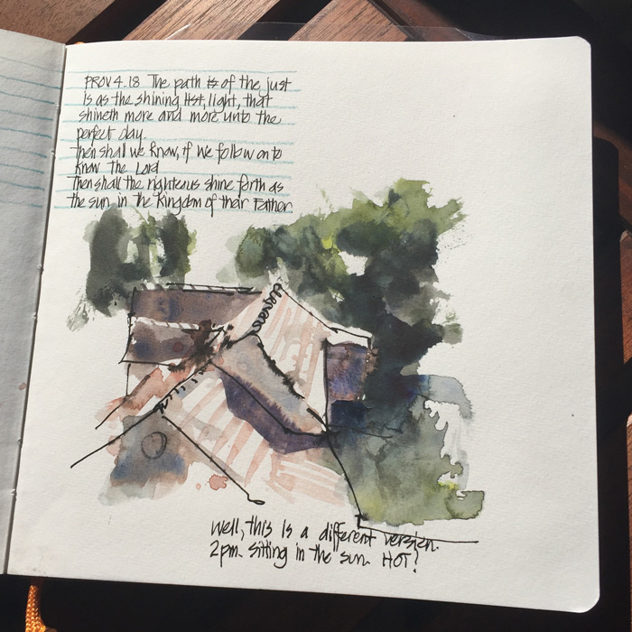 LizSteel-Backhome-after-chicago