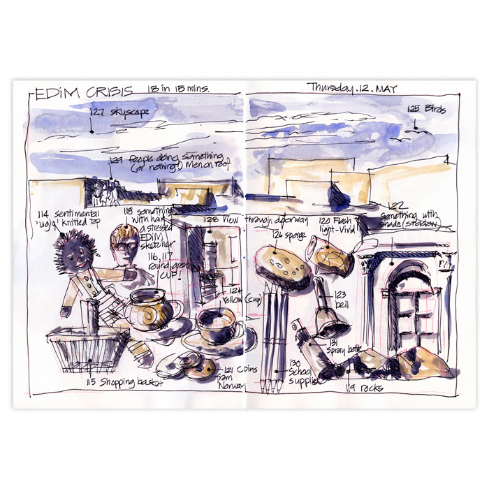 Edim2011 Crisis Liz Steel Liz Steel