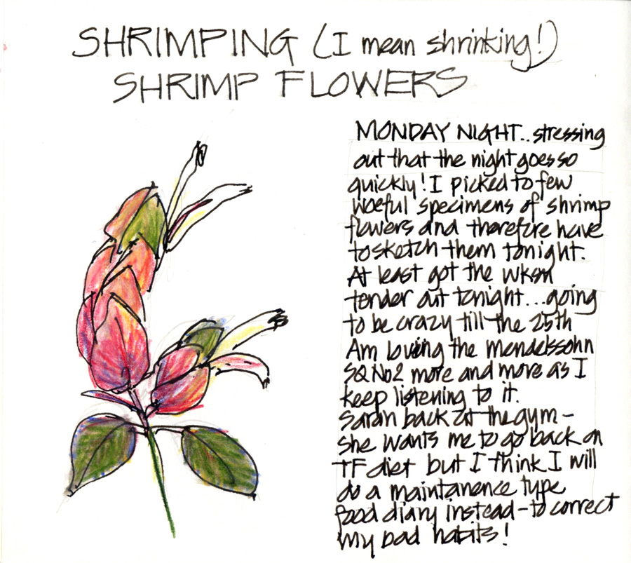 https://www.lizsteel.com/wp-content/uploads/2021/04/LizSteel-090615-Shrimping-Flowers.jpg