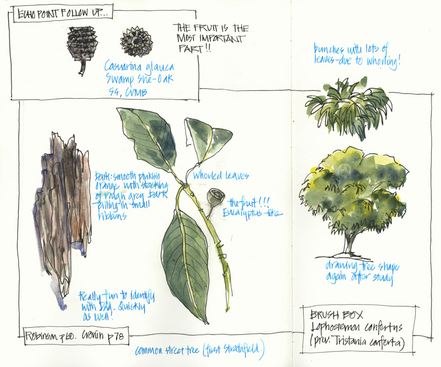 Australian Natives Identification