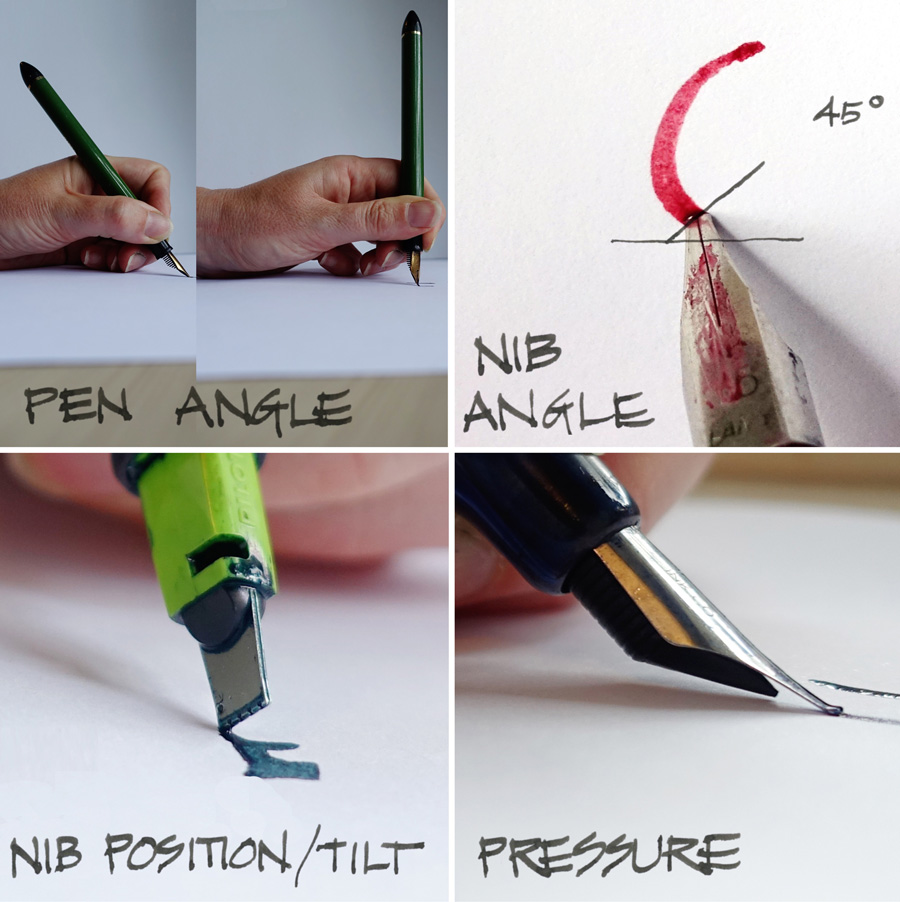 effektivt areal bekæmpe Fountain Pen Sketching Part 6: Pens with variable lines 1 - Liz Steel : Liz  Steel