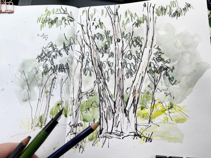 Peppermint and Turpentine - a step by step of a bush sketch - Liz Steel ...