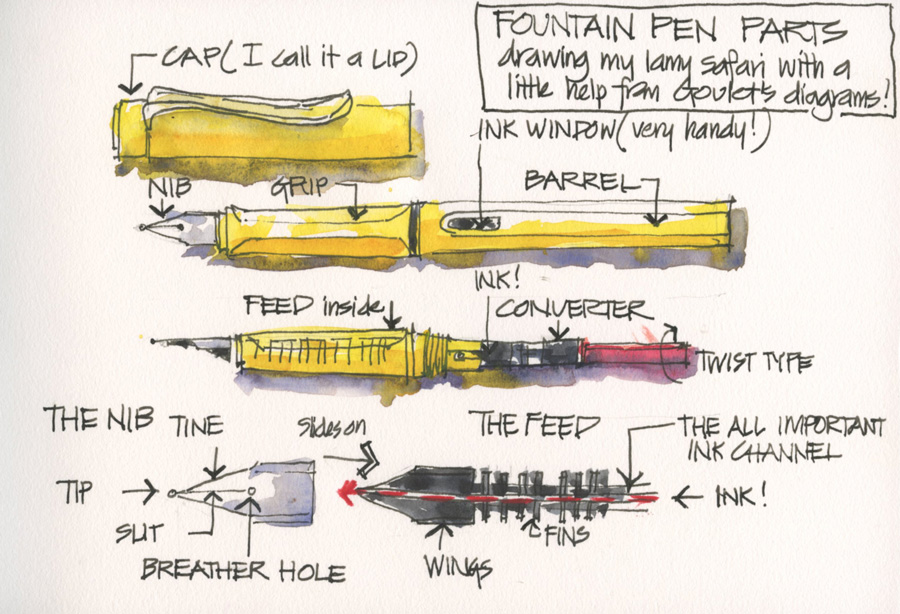 Dip Nib And Fountain Pen Sketching - Comparing Steel Nibs And My Lamy Pen