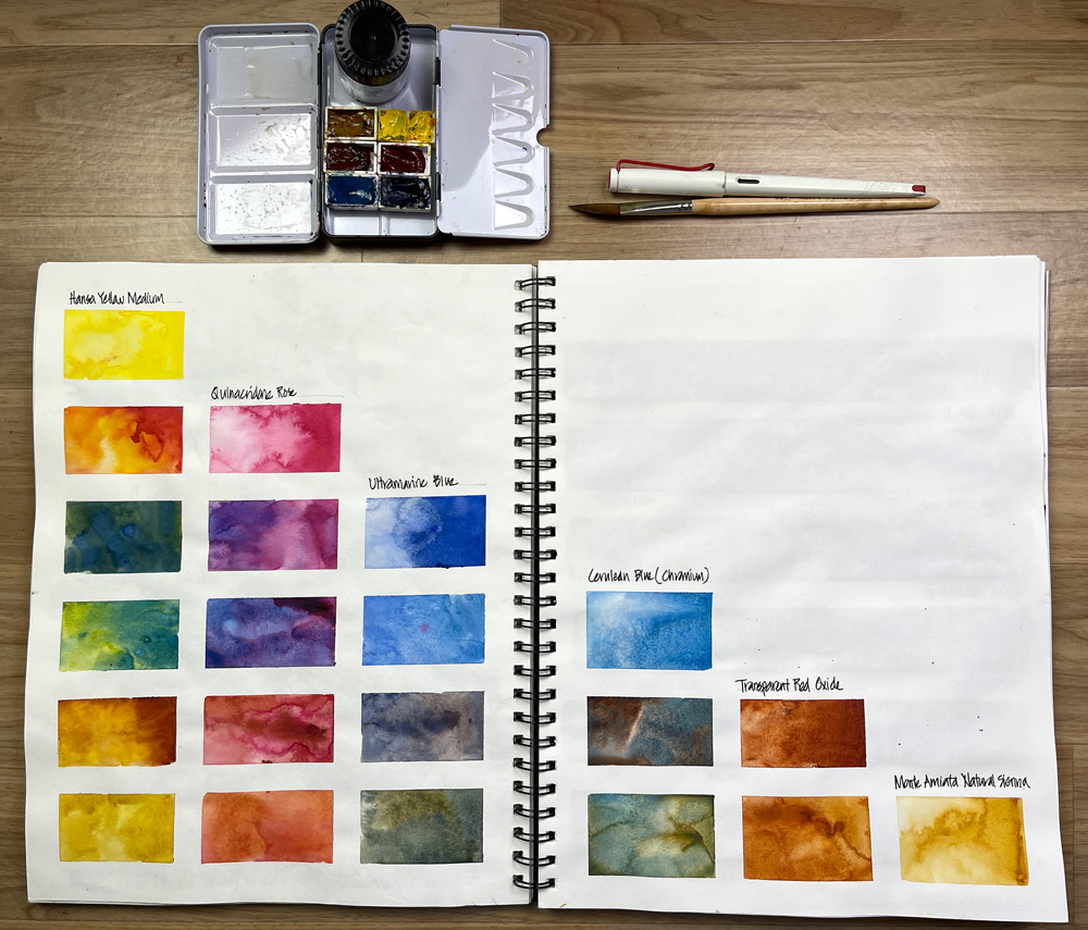 Setting up a watercolour palette - Liz Steel : Liz Steel