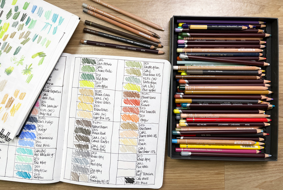 What coloured pencils do you use and why? - Liz Steel : Liz Steel