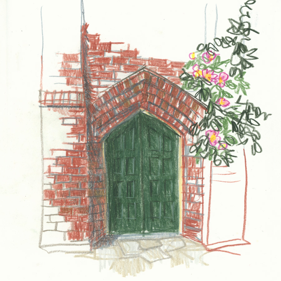 A Peek In My Sketchbook: Floral Sketch With Colored Pencils