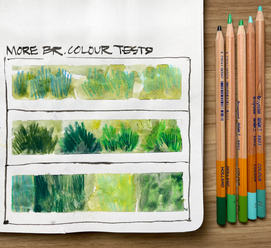 What coloured pencils do you use and why? - Liz Steel : Liz Steel