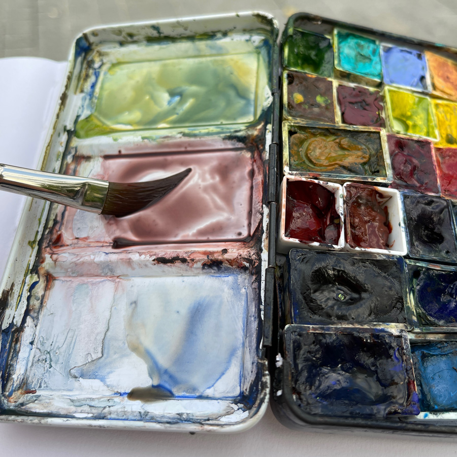 Setting up a watercolour palette - Liz Steel : Liz Steel