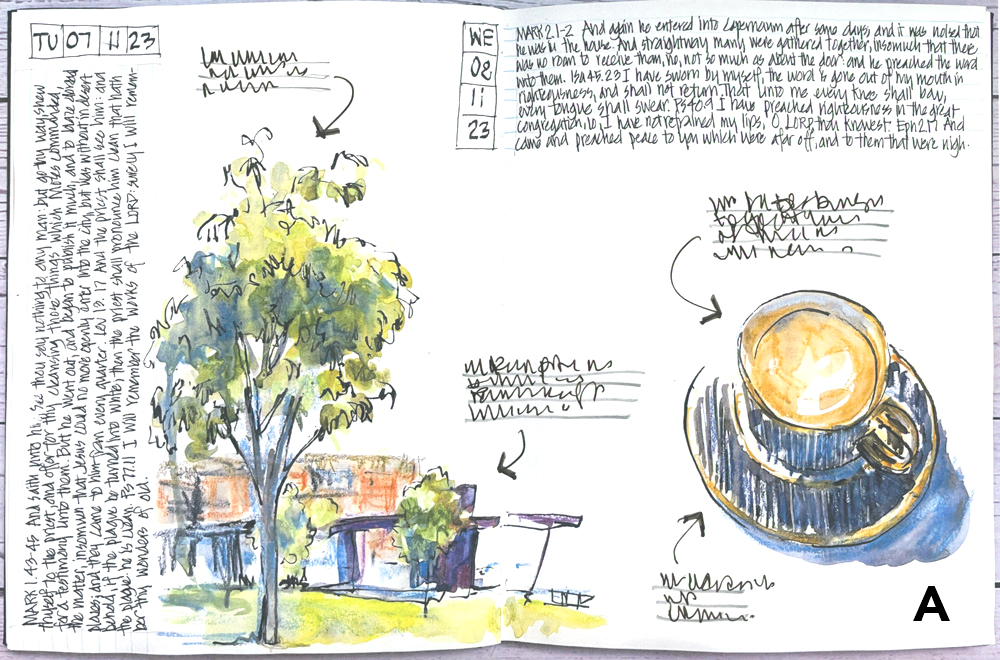 Sketchbook Review: Pentalic Aqua Journal compared with Moleskine Watercolor  Notebook - Liz Steel : Liz Steel