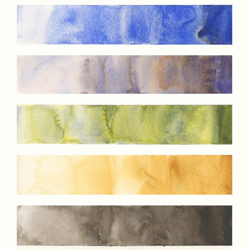 My most used watercolour paints - Liz Steel : Liz Steel