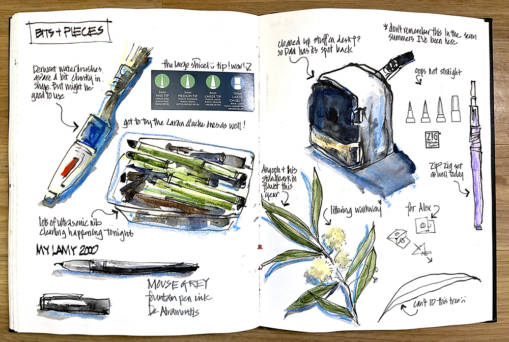 Fountain Pen Sketching Part 4: Choosing a fountain pen - Liz Steel : Liz  Steel