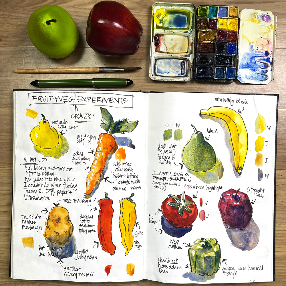 Super fun watercolour experiments fruit veg and : - Steel Liz Liz sketching Steel